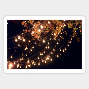 Lights draping off the Tree with a Black Sky in the background Sticker